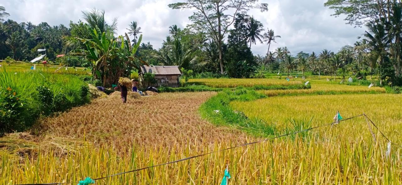 Rindu Homestay Undisan Ngoại thất bức ảnh